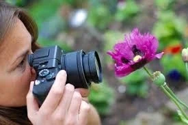 Conserto de Maquinas Fotograficas e Filmadoras